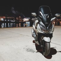 PanDam's Avatar